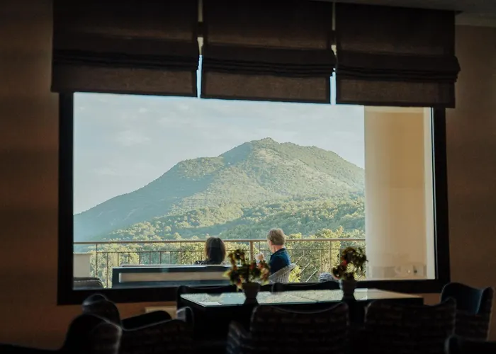 Enastron View Hotel