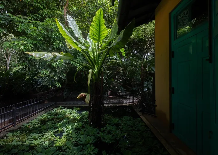 Casa Heliconia