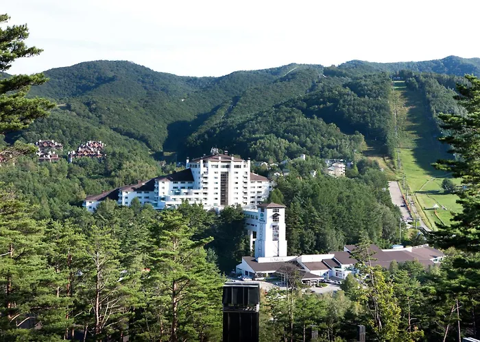 Mona Yongpyong Hotel