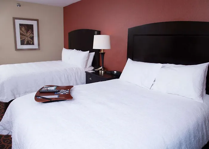 Hampton Inn & Suites Dickinson Nd