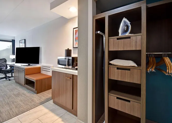 Hilton Garden Inn Detroit Metro Airport