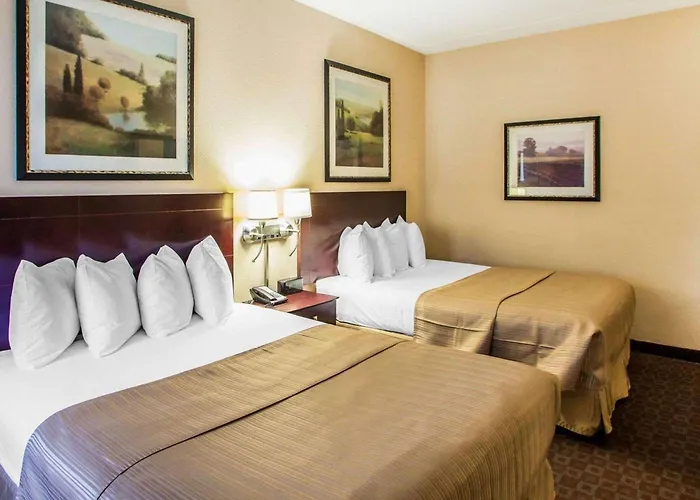 Quality Inn & Suites Peoria North