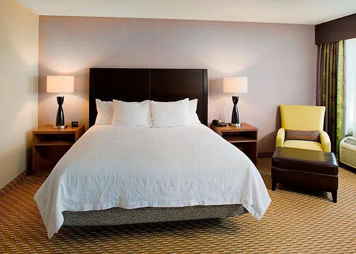 Hilton Garden Inn Hartford North-Bradley International Airport