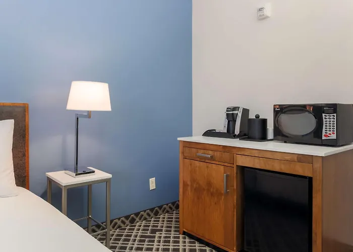 Hilton Garden Inn Dallas/Market Center