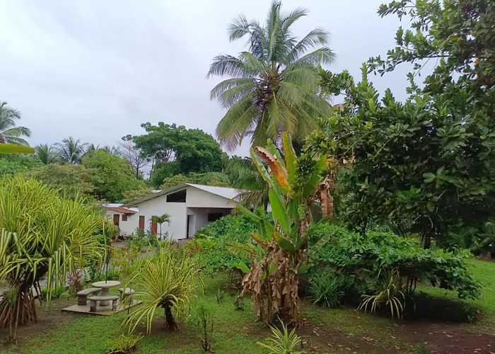 Hotel Tortuguero Beachfront