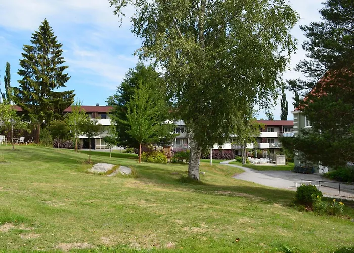 Varsta Logi