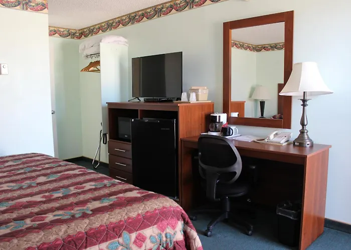 Safari Inn