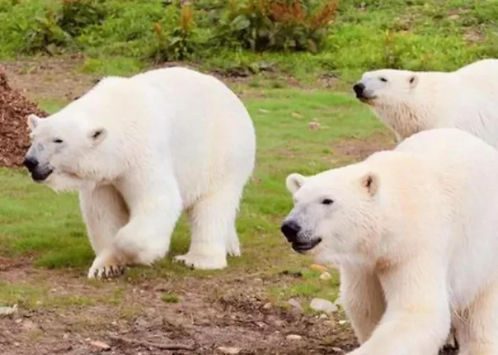 Charming Rustic Barn Conversion Sleeps 2 Near Alton Towers, Polar Bears, Peak District