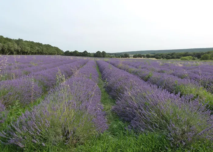 Prieuré de Grignan