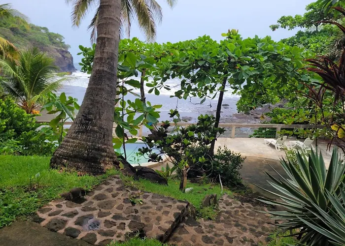 El Patio de Don Moncho - Shalpa