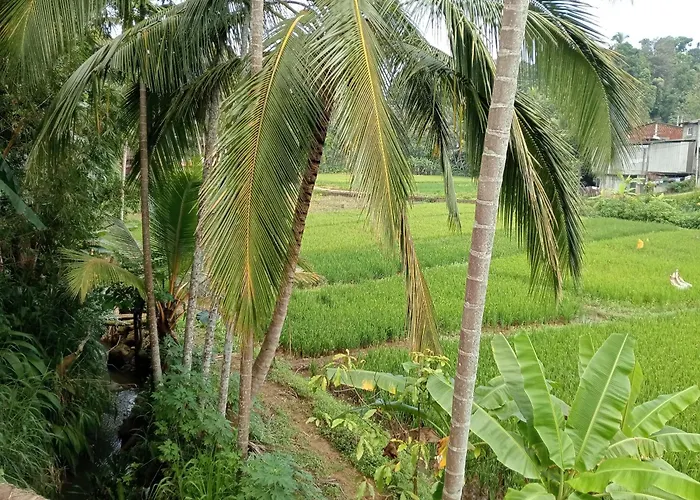 Power Zone Guest House