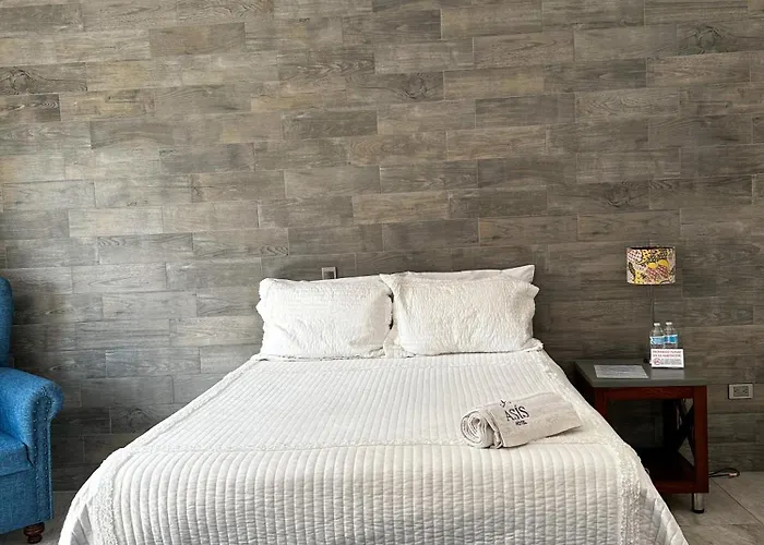 Hotel Asis