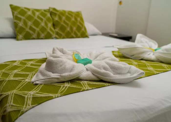 Suites & Apartments San Benito - Zona Rosa