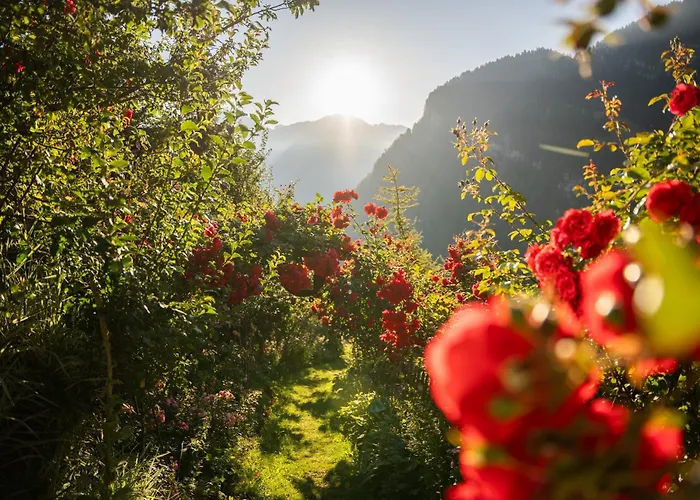 Charmehotel Uhrerhof - Deur