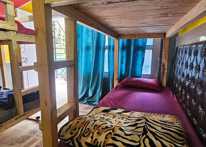 Shanti Cafe - Signature Stays Kasol