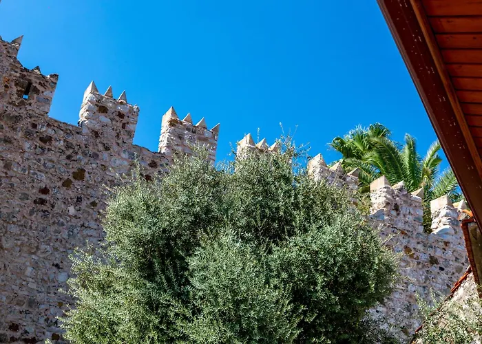 Mustafa Tokalaç Castle house