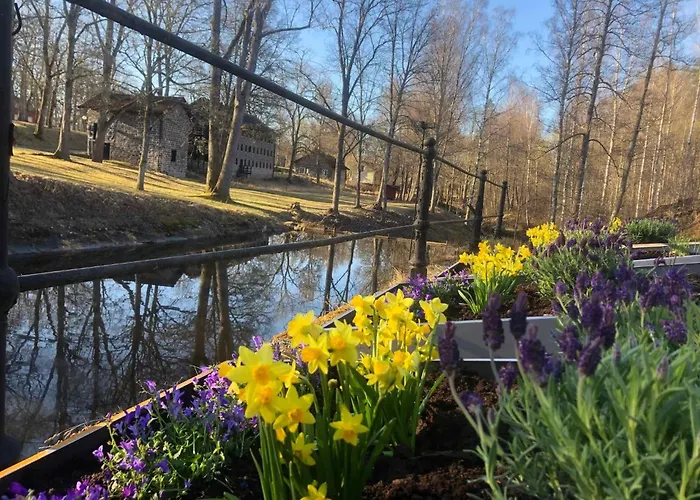 Kvarnen I Borgvik