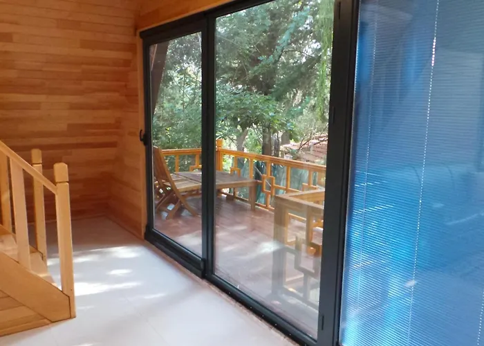 Trinitys Forest Bungalows