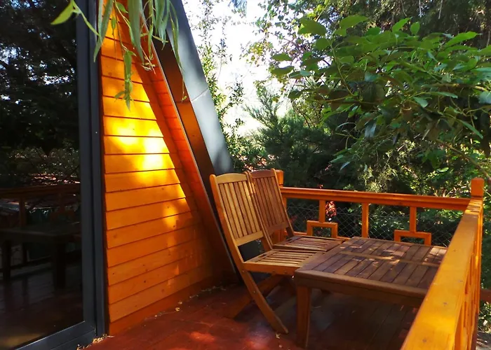 Trinitys Forest Bungalows
