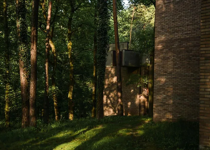 Forest Hotel