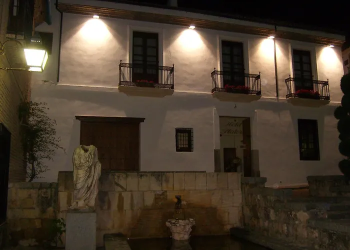 Hotel Plateros
