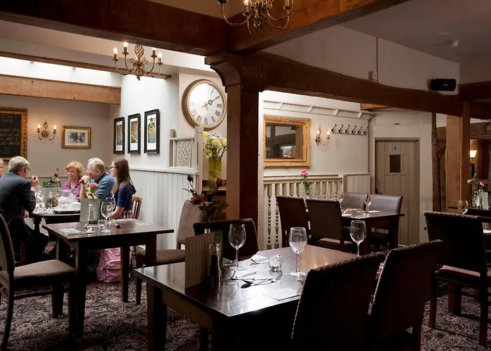The Dog & Bear Hotel