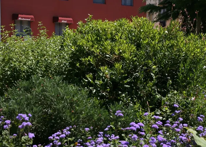 Hotel Mireille