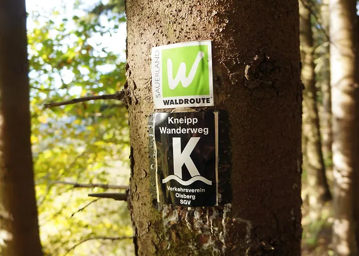 Waldhotel Schinkenwirt