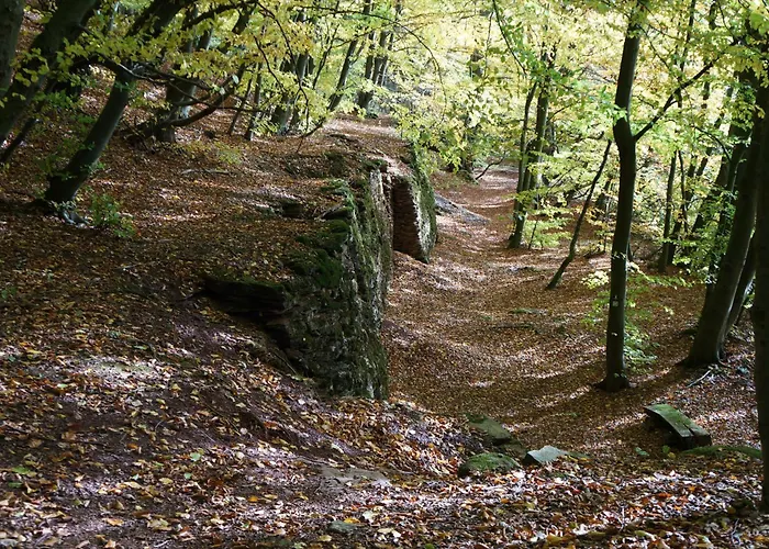 Waldhotel Schinkenwirt