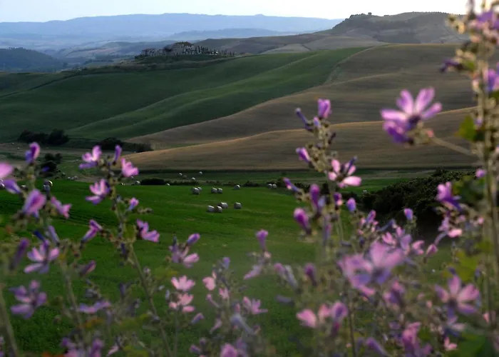 Agrihotel Il Palagetto