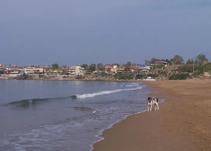 Beach House Hotel