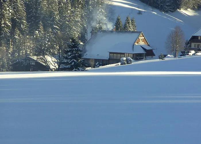 Hotel Thaelerhaeusle Mit Schwimmbad