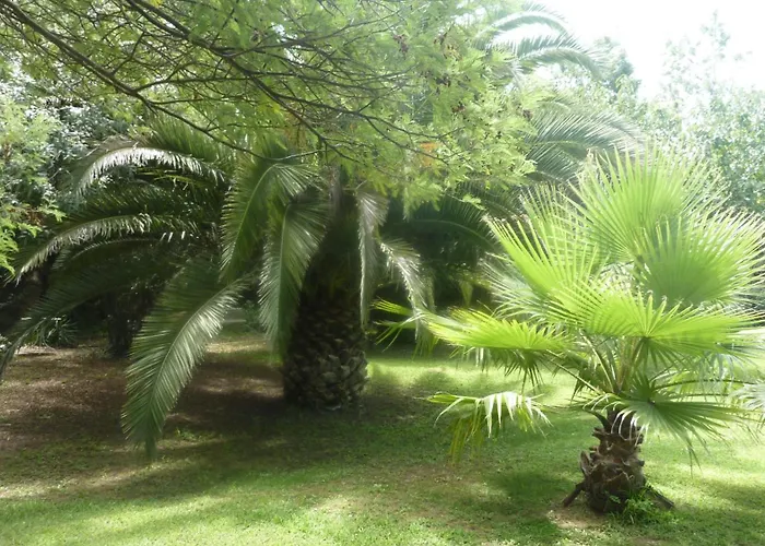 Les Jardins Du Patriarche Hotel