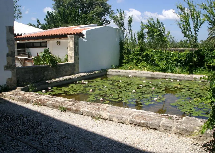 Oasis Guesthouse