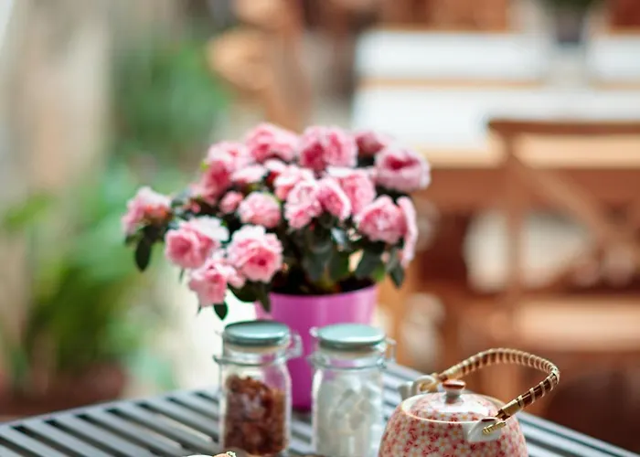 Jardi De Ses Bruixes Boutique Hotel