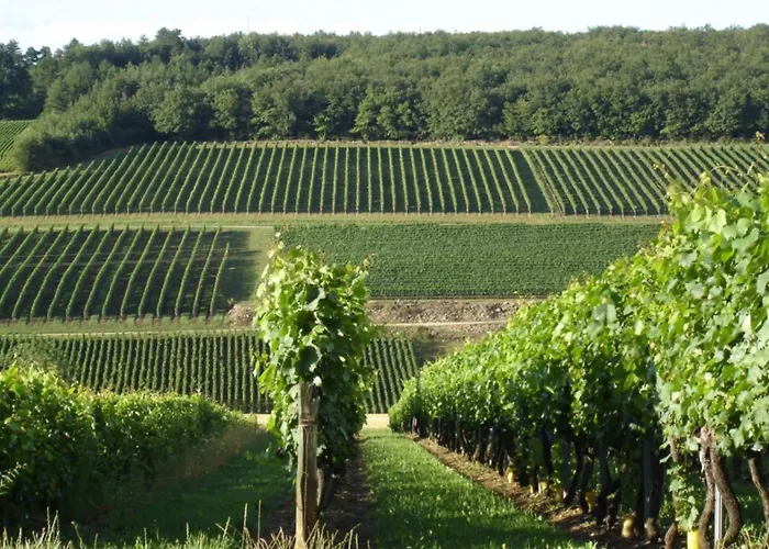 Douce Nuits