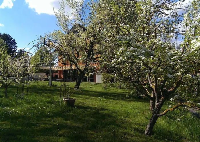 Hotel Zapa