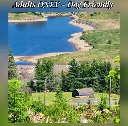 Forester'S Retreat Luxury Glamping- Dinas View- 2X Dogs Accepted- Free Parking-Peaceful And Private Location For A Quite Escape!