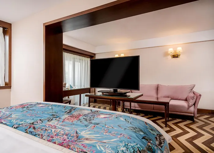 Hotel International