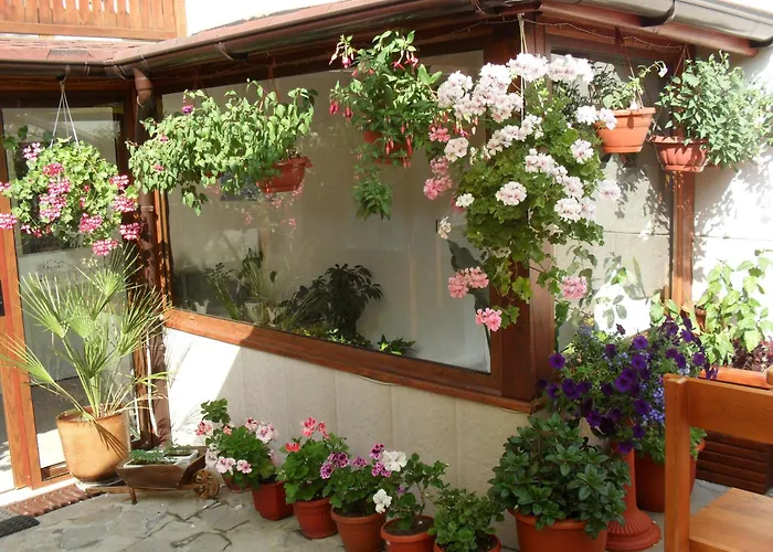 Family Hotel Nadejda