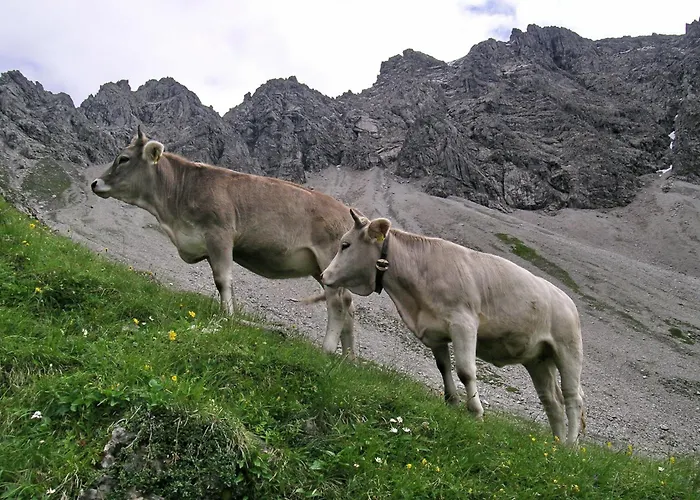 Naturhotel Laerchenhof