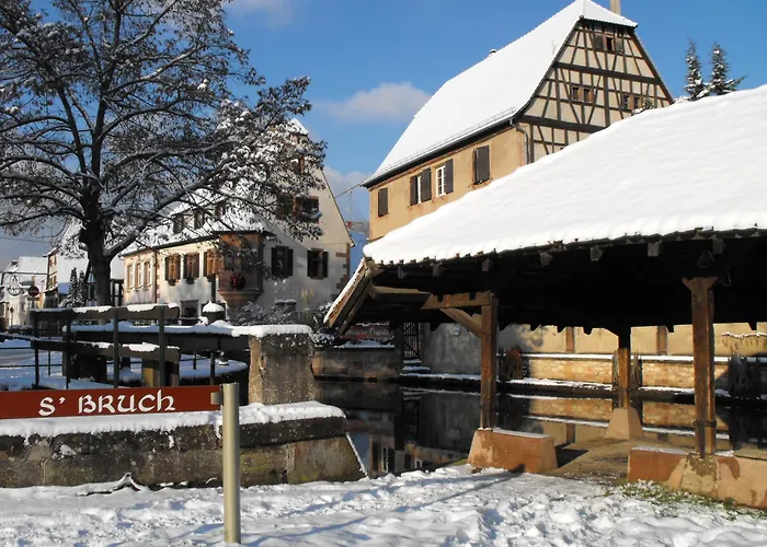 Hotel D'Alsace