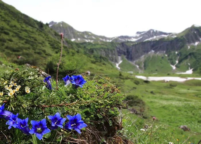 Brunnenhof Oberstdorf - Ferienwohnungen mit Hotel Service