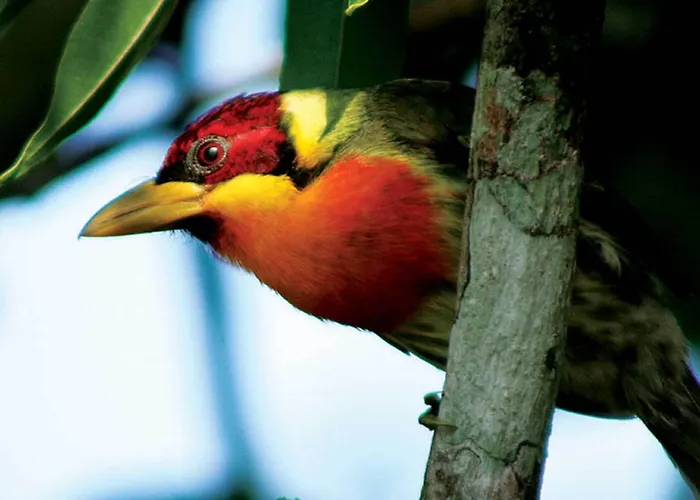 Inkaterra Reserva Amazonica