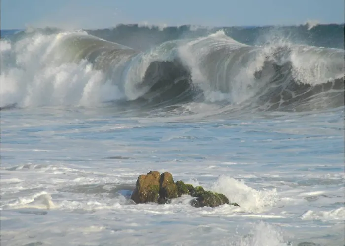 Angel Del Mar