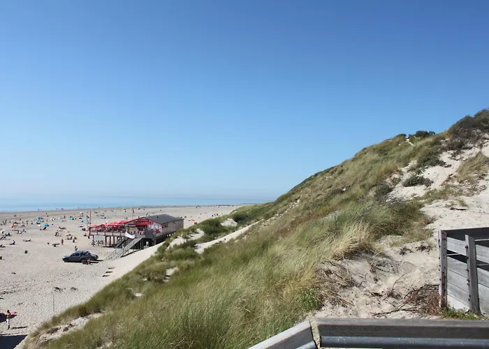De Zilvermeeuw