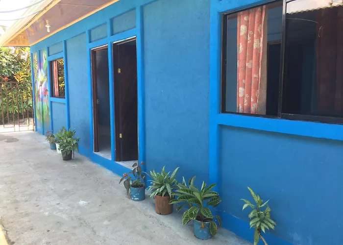 Green Macaw Hostel