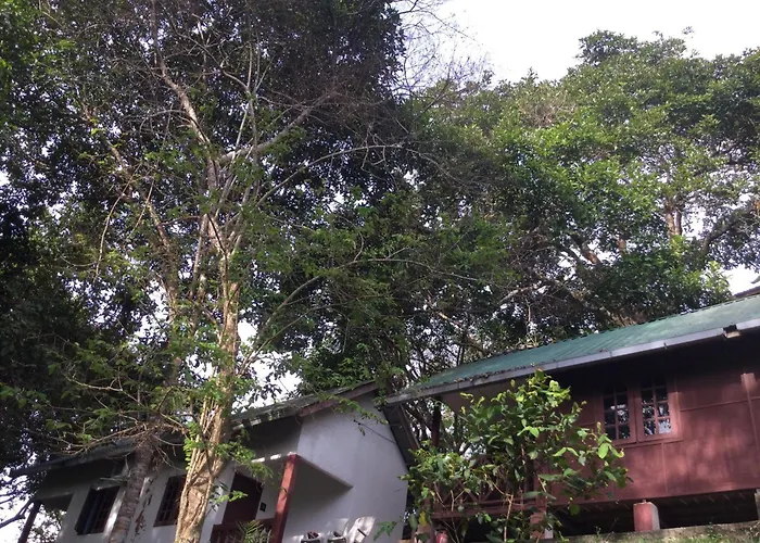 D View Hill Hotel