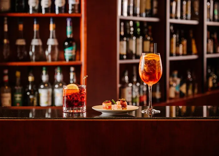 Hotel Barchetta Excelsior