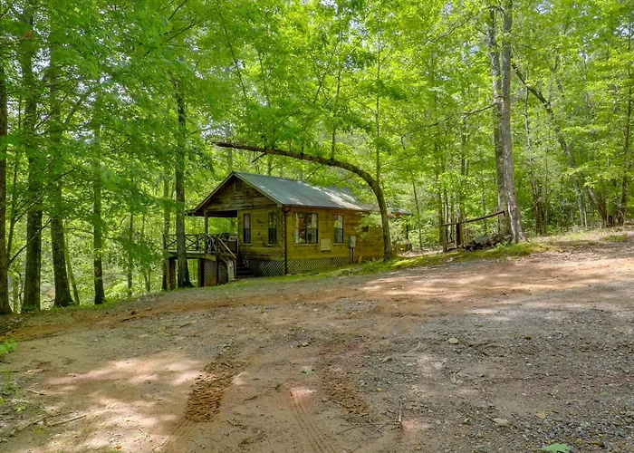 Marion Cabin On 92 Acres W/ Hot Tub & Trails